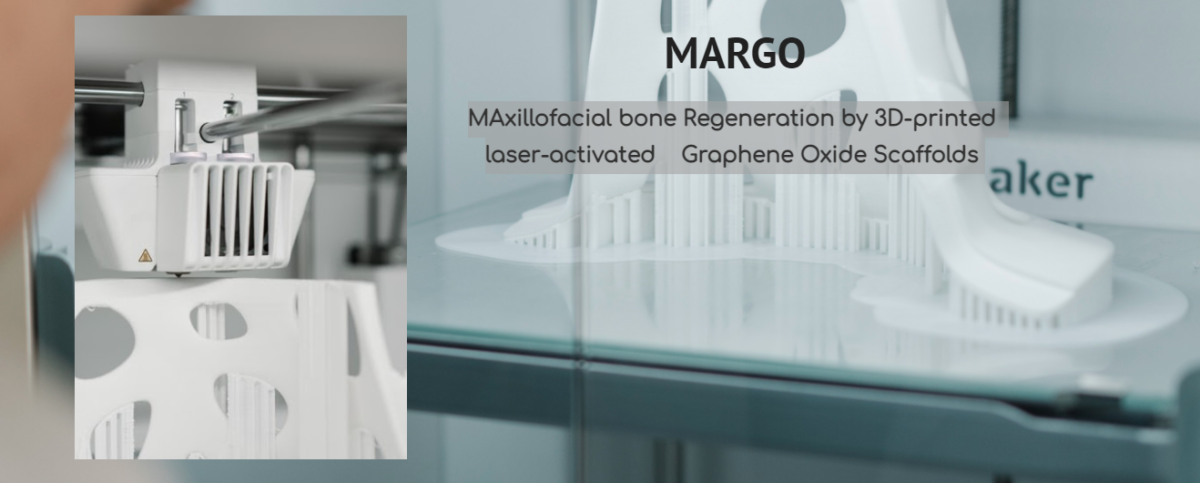 Workshop MARGO project, 2D Materials, Regenerative Medicine, 3D bioprinting, 29-30 November 2023
