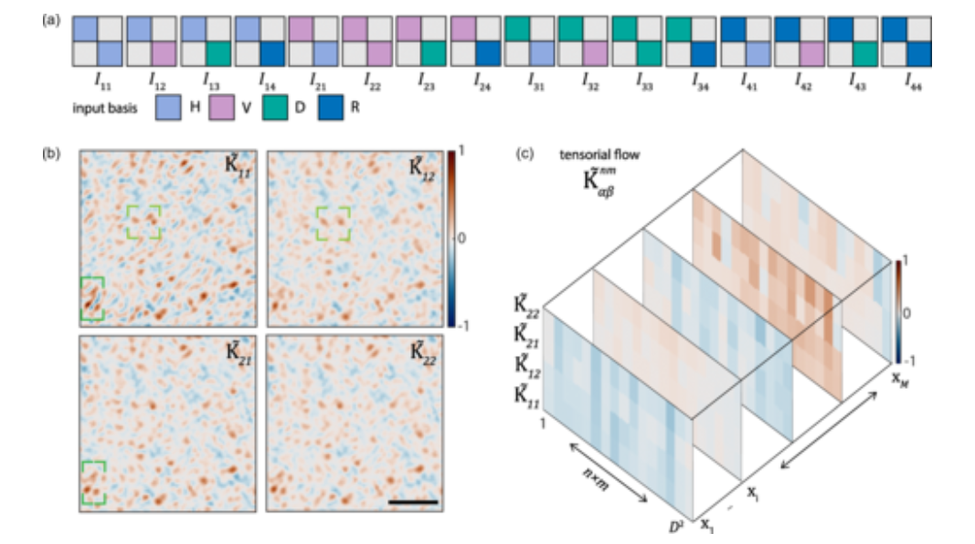 Tensorial flow of mosaic beams in PRL !