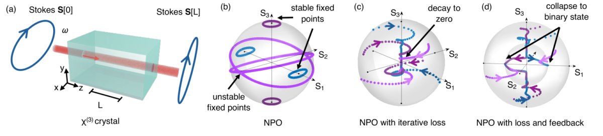 Ising Machine by Dimensional Collapse of Nonlinear Polarization Oscillators